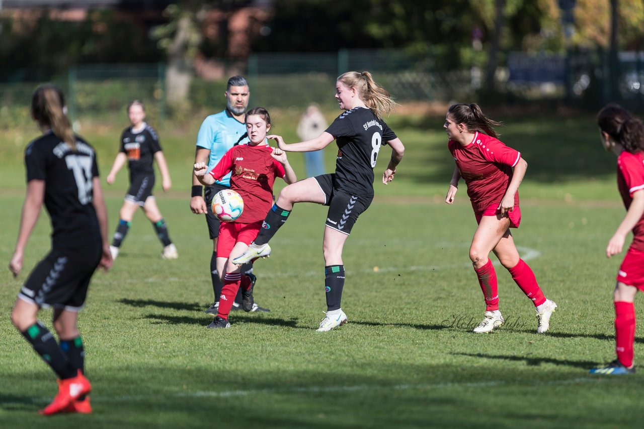 Bild 234 - F RS Kiel 2 - SV Henstedt Ulzburg 2 : Ergebnis: 1:3